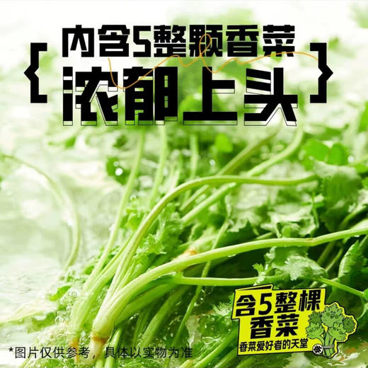 白象超香香香香香香菜面115g*12桶 商品图3
