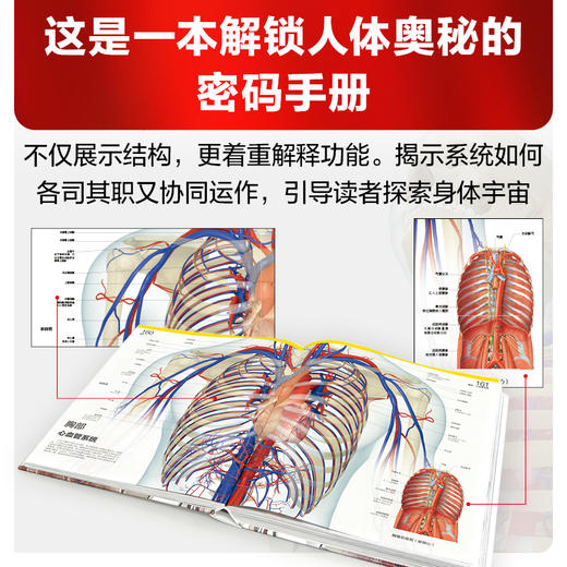 DK人体大百科（修订版） 商品图4