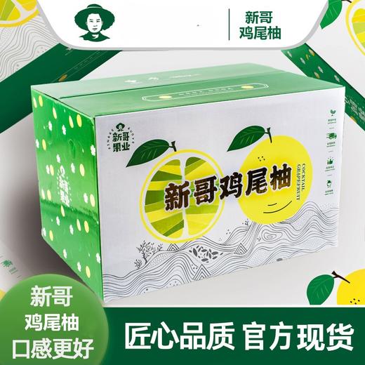 【鸡尾葡萄柚】柚子和桔子的杂交，比柚子多一丝丝的橙桔香味，肉质嫩，汁水多，（8斤装，11个左右），下单48小时内基地直发 商品图7