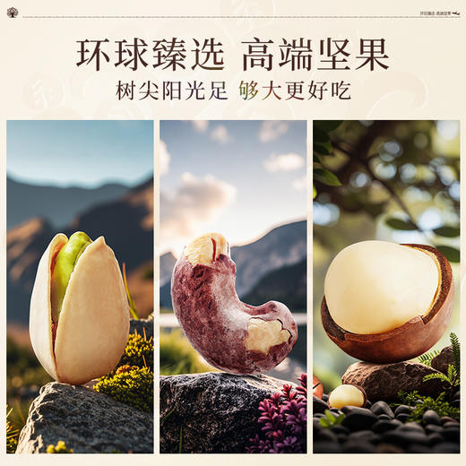 臻味-960g环球时尚礼盒 商品图2