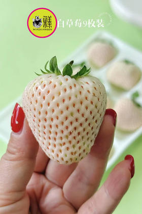 白雪公主白草莓🍓一盒11-15枚（快递2盒起）