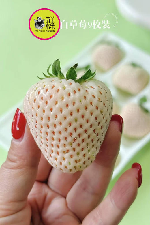 白雪公主白草莓🍓一盒11-15枚（快递2盒起） 商品图0