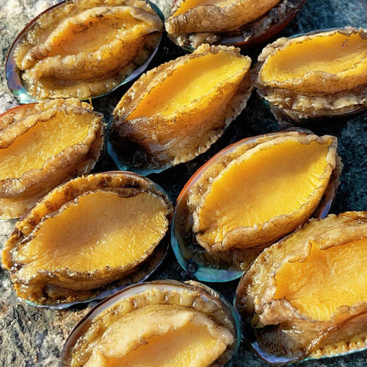 【超值3袋】舟选 活冻鲍鱼 低温急冻锁鲜 接近鲜活口感 鲜活捕捞 个大肉厚 200g/袋 商品图5