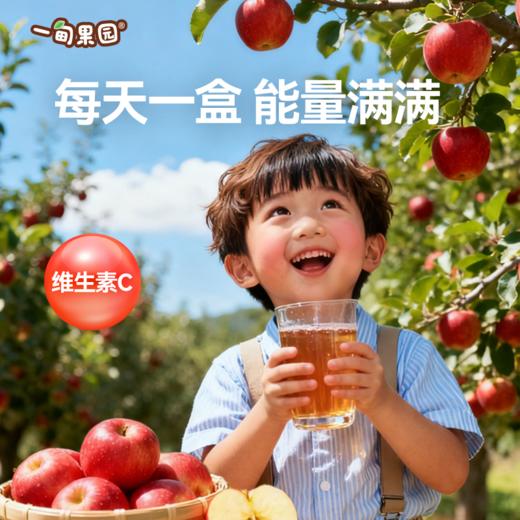 品牌直发 一甸园 一甸果园100%苹果汁 200mLx10盒/箱 1箱装/2箱装 商品图5