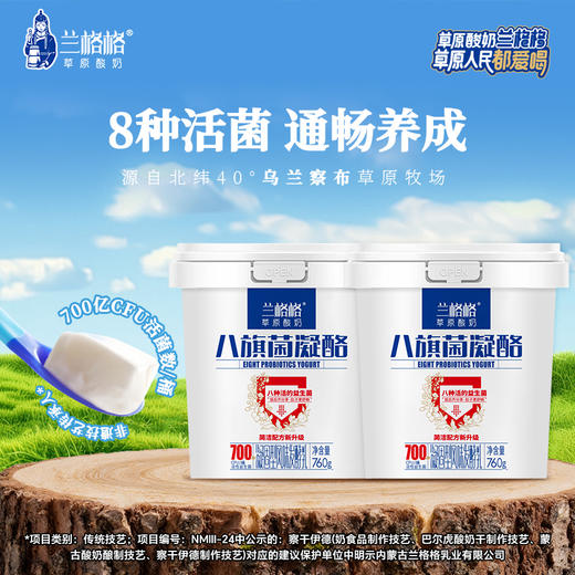兰格格内蒙古草原凝固型酸奶八旗菌凝酪760g*2桶 商品图1