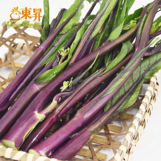 东升农场 有机红菜苔300g 红菜心 广东有机蔬菜新鲜配送 商品图3