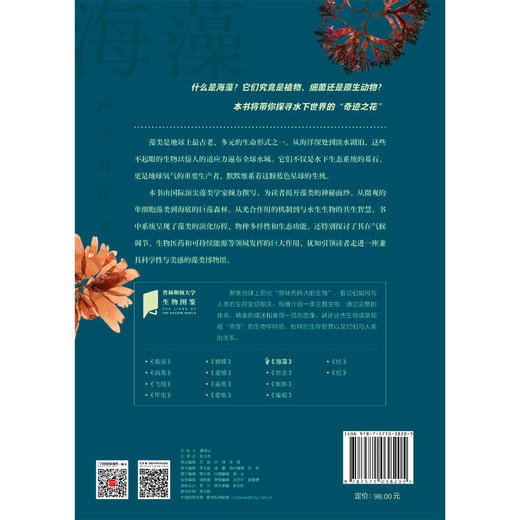 海藻 商品图3