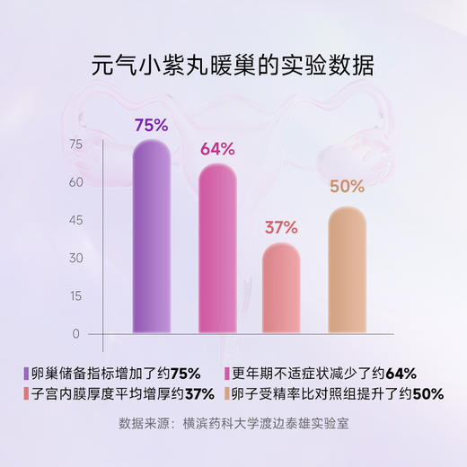 【2025升级版】丸治益生Dr.Watanabe Ferritin Iron铁剂 小紫丸 商品图2