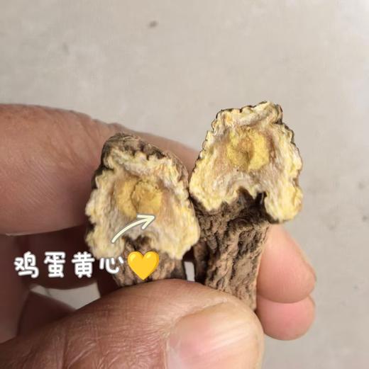 高海拔珍品！【2025年理塘野生干党参】4300米高海拔 5-7年/7-10年根可选 10斤鲜制1斤干货，冬季煲汤炖肉专用 补气生津 全家暖冬养生食材 商品图5