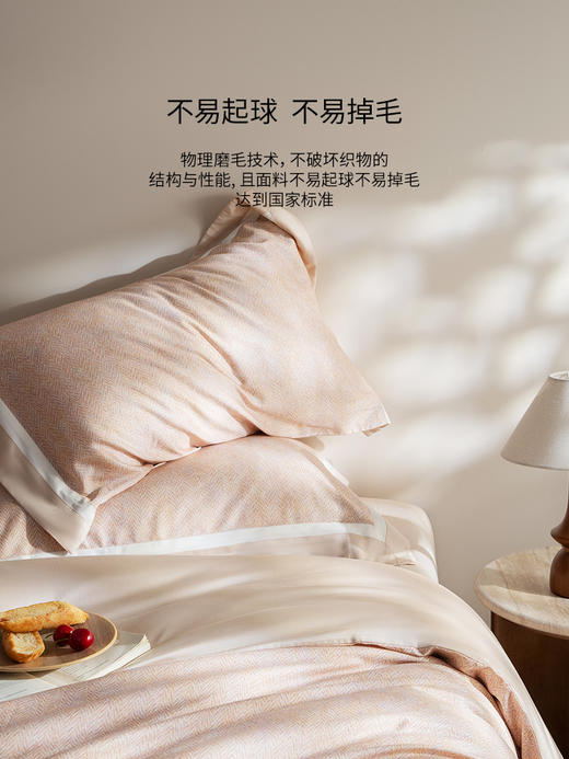 佳丽斯60S天丝磨毛纯棉四件套加厚床上用品全棉保暖2025新款秋冬 商品图6