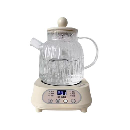 小南瓜多功能养生壶BG-08A 滤网款 商品图0