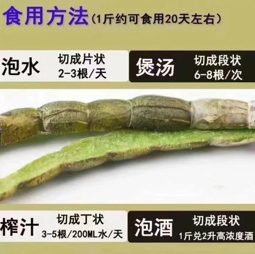 【铁皮石斛鲜条】胶质好 现剪现发 包邮 商品图11
