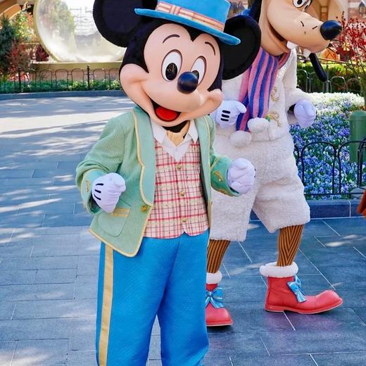 【出口餐具尾单-福利专场】🎀𝑫𝒊𝒔𝒏𝒆*童话明星系列双耳碗/字母盘/长盘/马克杯【CJ01】 商品图5