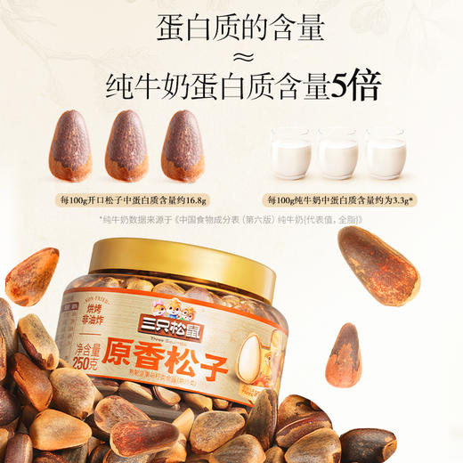 三只松鼠 罐装坚果_原香松子250g 商品图2