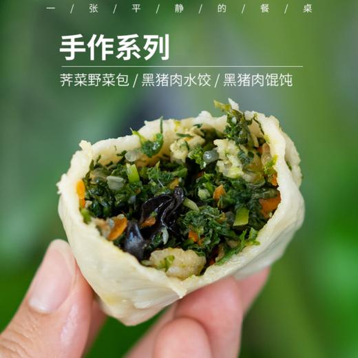 【任选3份包邮送大鲅鱼水饺4个❗️】纯手工水饺/馄饨/菜包子丨当季新鲜时蔬搭配自养黑猪肉，多口味，现做现发，⭐️顺丰空运 商品图0