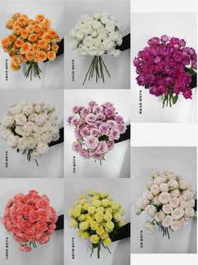 【新品上新】什么❗️背着我们悄悄种新品玫瑰❓