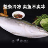 星龙港海捕冷冻鲅鱼礼盒-YGF 商品缩略图4