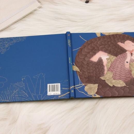 A Baby Pangolin Growing Up穿山甲宝宝成长记英文版&3356 趣味科普精装绘本 穿山甲成长学生存本领故事 打破传统科普枯燥 沉浸式阅读轻松掌握动物知识 儿童自然认知亲子共读读物 商品图5