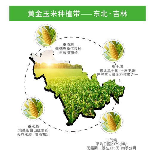 【吉供优选】吉粮鲜胚玉米油5L 商品图1