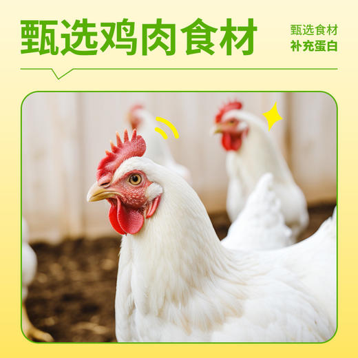 疯狂小狗狗粮中小型大型犬泰迪比熊鸡肉蓝莓成犬幼犬泪痕美毛2kg 商品图2