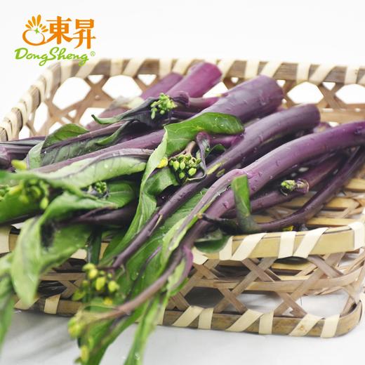 东升农场 有机红菜苔300g 红菜心 广东有机蔬菜新鲜配送 商品图2