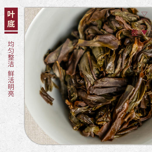 【山纯限品】2025年单丛系列028清泉香25g 商品图4