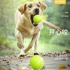狗狗玩具弹力网球大中小型犬啃咬耐咬玩具橡胶训练球宠物用品 商品缩略图2