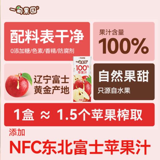 品牌直发 一甸园 一甸果园100%苹果汁 200mLx10盒/箱 1箱装/2箱装 商品图6