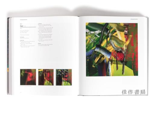 Gerhard Richter Catalogue Raisonne. Vol.3，Nos.389-651/2 1976-1987/格哈德·里希特作品全集，卷3，编号389-651/2 1976-19 商品图1