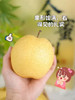 🎉🎉🎉【超甜一款，新上市品种】新品上市金蜜梨！！！超甜的，蜂蜜梨口感，脆，水分也多，秋天必备口感超赞 商品缩略图2