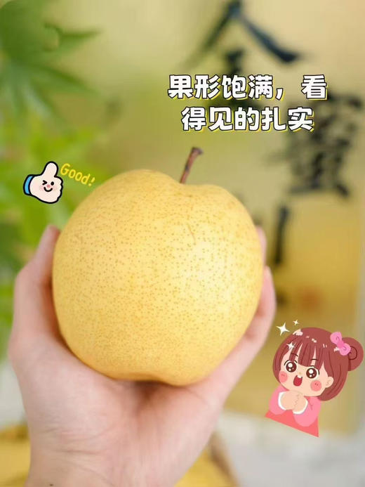🎉🎉🎉【超甜一款，新上市品种】新品上市金蜜梨！！！超甜的，蜂蜜梨口感，脆，水分也多，秋天必备口感超赞 商品图2