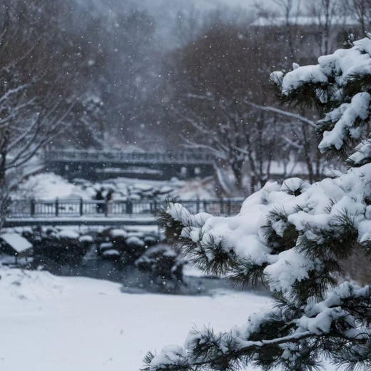 1晚/2晚【兴隆雾灵山阿那亚澜也酒店】可用至2026年3月底！北京周边泡汤必囤！含公汤/澜也私汤/双人正餐等，连住两晚更划算！京津冀圈山林阿那亚遛娃推荐~ 商品图1