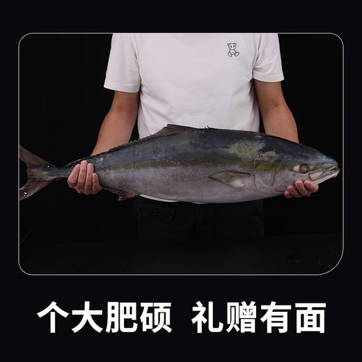 星龙港海捕冷冻鲅鱼礼盒-YGF 商品图5