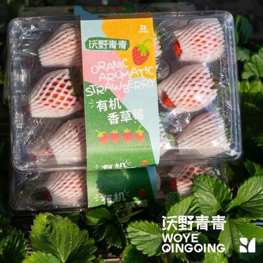 沃野青青有机香草莓  有机种植自然成熟应季水果现摘现发【顺丰空运】 商品图8