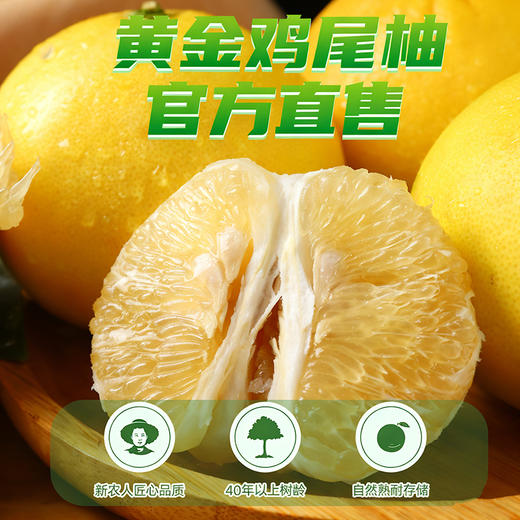 【鸡尾葡萄柚】柚子和桔子的杂交，比柚子多一丝丝的橙桔香味，肉质嫩，汁水多，（8斤装，11个左右），下单48小时内基地直发 商品图6