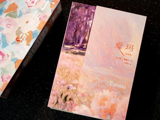 《简·奥斯丁精选集》（函套全3册），赠礼1：诗画级艺术书签3张，赠礼2：定制油画艺术帆布包1个。 商品图4