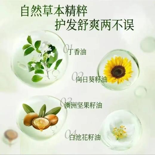 【赠品】【新品上市】敬修堂草本护发素  200g 商品图3