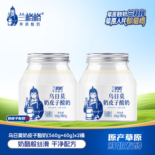 兰格格草原低温酸奶620g*2桶奶皮子酸奶生鲜无添加剂内蒙古奶源 商品图0