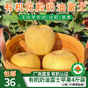 【厂商直发】有机花脸奶油富士苹果0农残果肉清甜多汁新鲜包邮 商品缩略图0