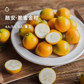 企鹅市集|广西融安脆蜜金柑 金桔礼盒装 多规格多款式可选 甜蜜不涩 薄皮少籽