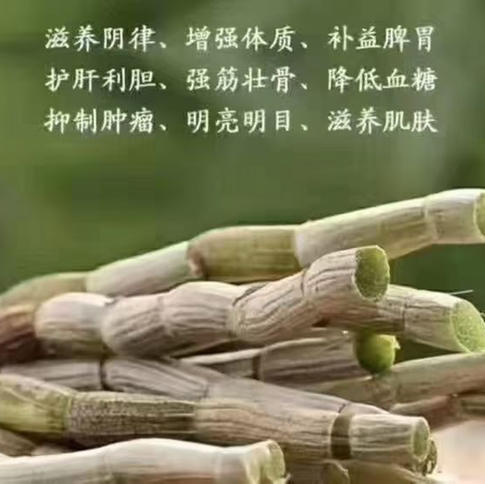 【铁皮石斛鲜条】胶质好 现剪现发 包邮 商品图12