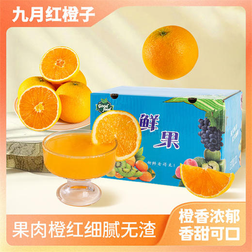 【分销】 宜昌秭归秋橙九月红细腻无渣皮薄多汁 核心产区发送 果农们用心呵护  精心挑选 确保每一颗橙子都皮薄汁多 商品图0