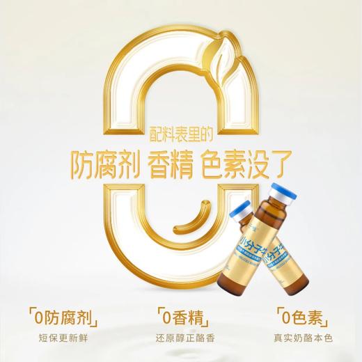 【新品上市】 脾牛脾胺肽小分子牛脾肽口服液12支儿童宝宝调理脾胃口服液睥牛饮液健脾 商品图3