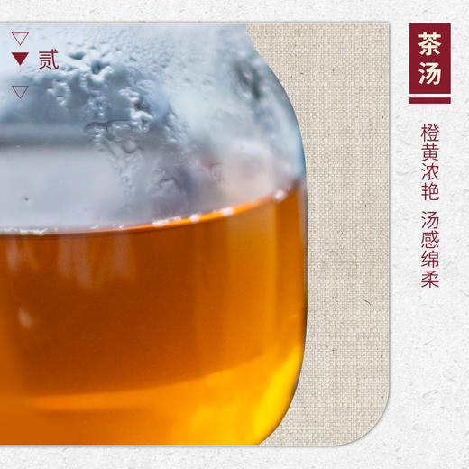 【山纯限品】2025年038化鹤岩水仙17g 商品图3