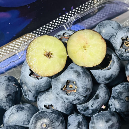 大果18mm 国产蓝莓新鲜蓝莓  多规格可选     脆甜 护眼小能手包装随机发 商品图1