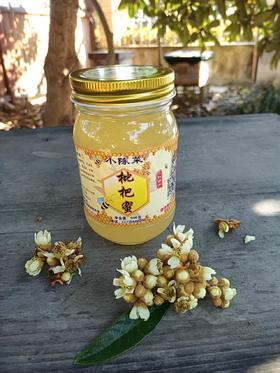 仁和冬捕 小陈菜家庭农场 枇杷蜜