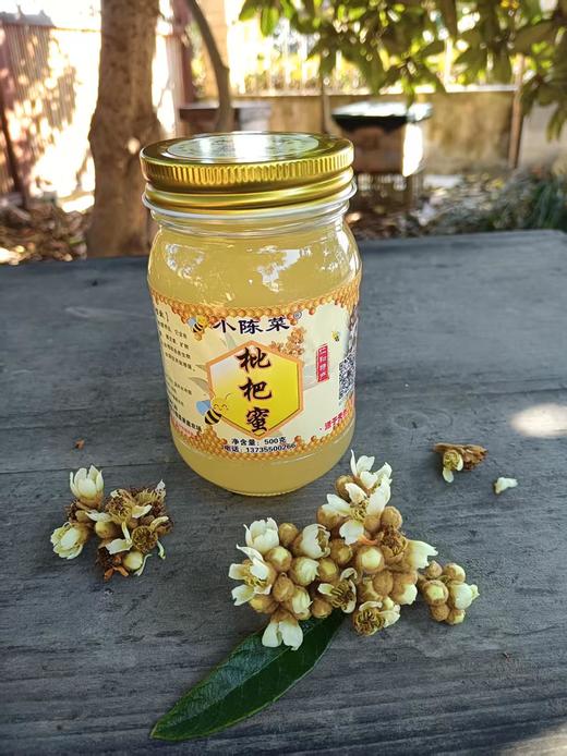 仁和冬捕 小陈菜家庭农场 枇杷蜜 商品图0