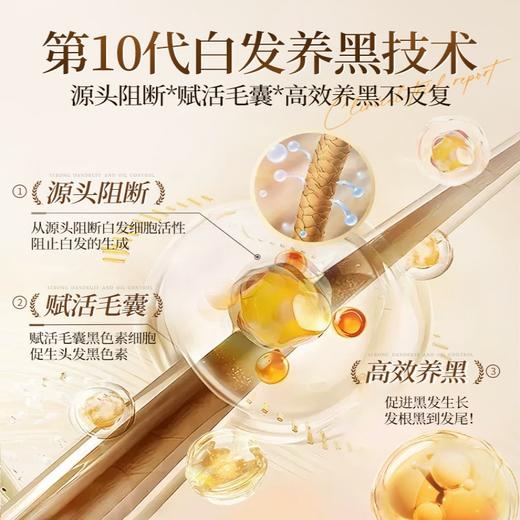 【POZTL泊紫汀兰 何首乌人参植物洗发水】500ML一瓶，古法传承养黑，草本植萃配方，自然洗出乌黑头发~ 商品图3