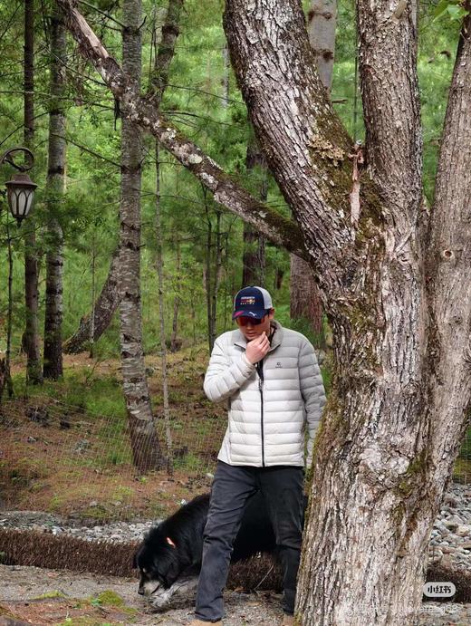 D121150轻量透气防风防泼水连帽3000GT-MG羽绒服 商品图11