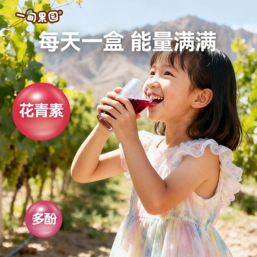品牌直发 一甸园 一甸果园100%葡萄汁 200mLx10盒/箱 1箱装/2箱装 商品图6